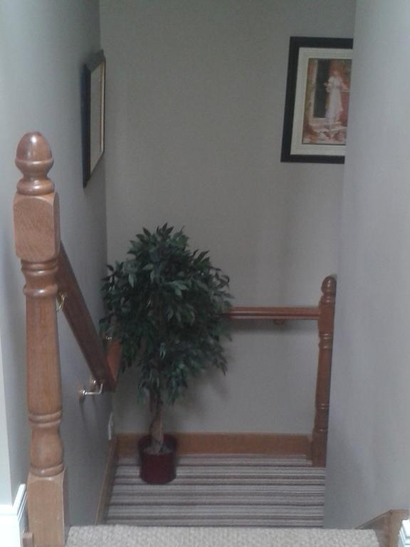 Ryebrook House Bed & Breakfast Killarney Eksteriør bilde